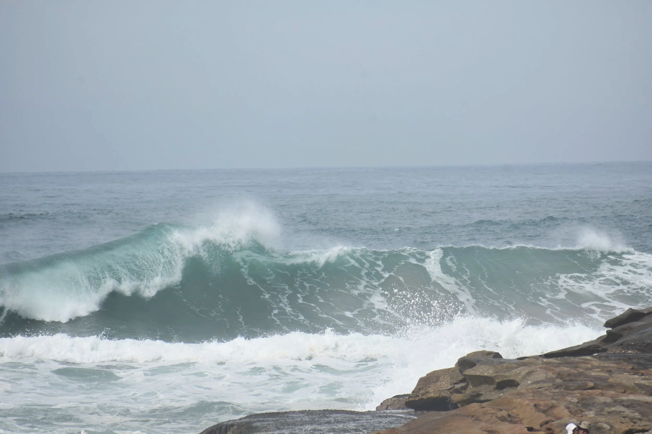 DSC_1924.png