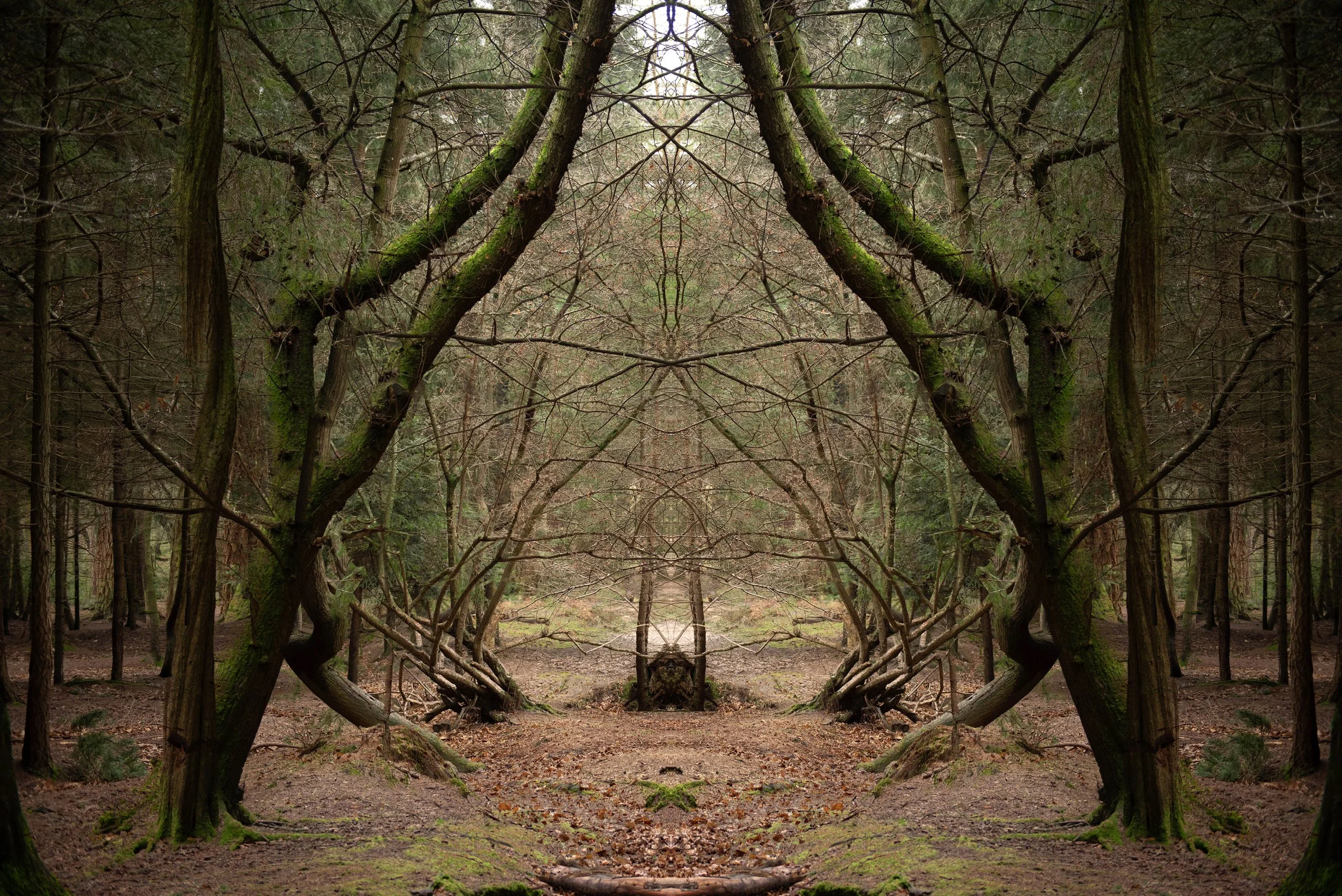 4_Shadow Work_7613.jpg