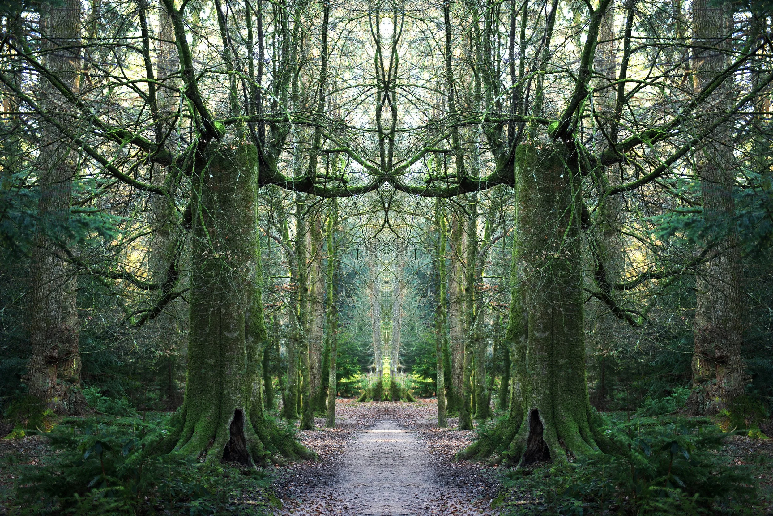 5_Shadow Work_6551.jpg