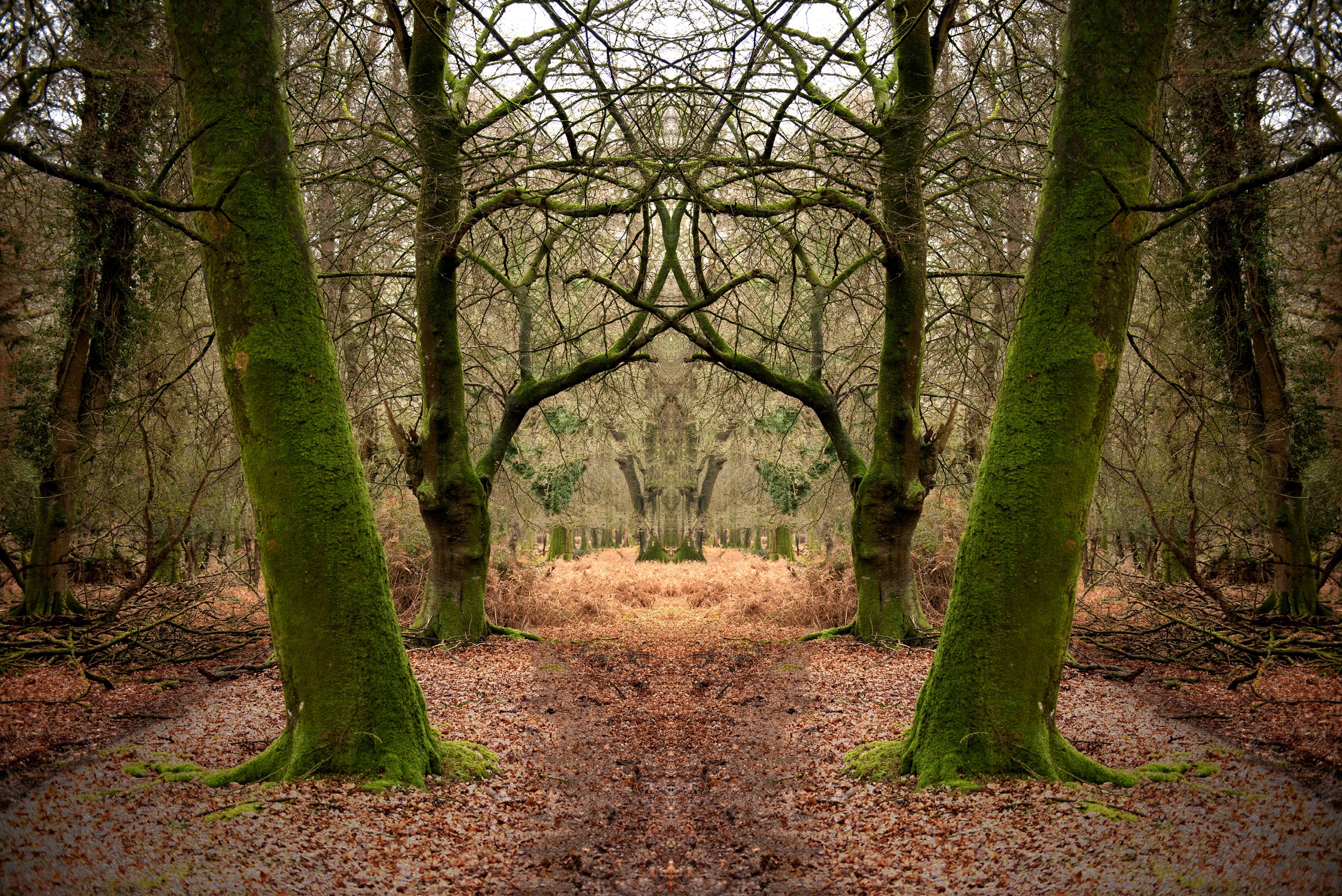 10_Shadow Work_7289.jpg