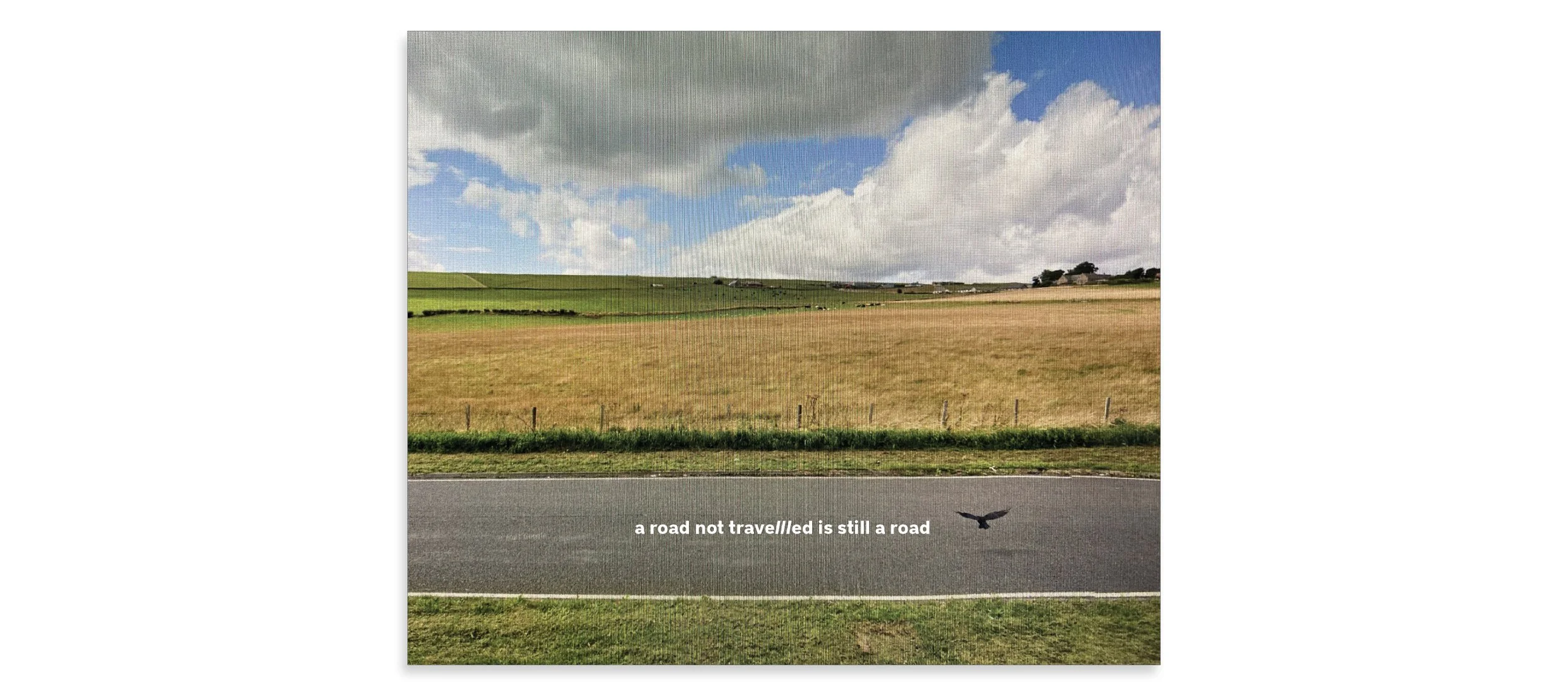 A Road Not Travelled_Website_1.jpg