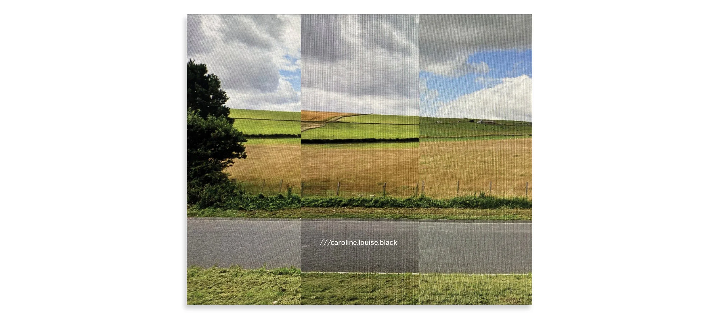A Road Not Travelled_Website_83.jpg