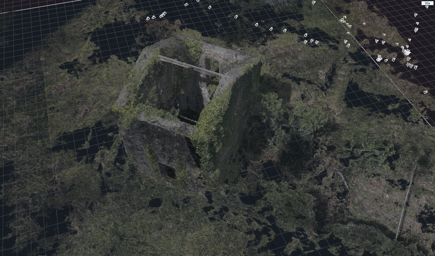Point cloud of the Casa Susana ruin overgrown with vegetation, produced for the Atlas of the Commons Assembly, Galicia, 2026.