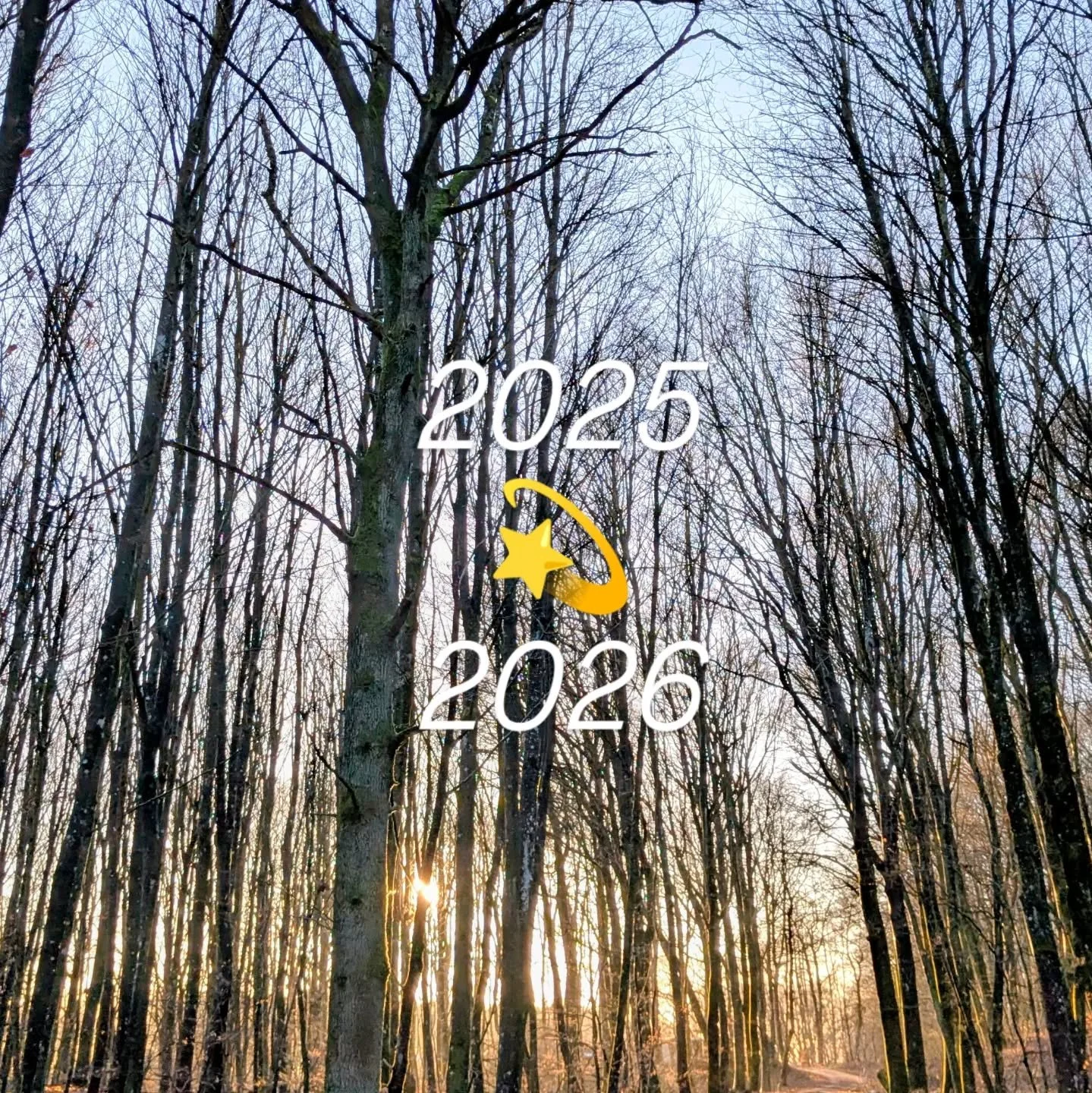 ✨Vad har 2025 f&ouml;rt med sig? I slutet av &aring;ret tycker jag om att fundera &ouml;ver vad det h&auml;r &aring;ret har f&ouml;rt med sig och vad jag har f&ouml;r f&ouml;rv&auml;ntningar eller intention f&ouml;r kommande &aring;r.

🙏Vad har du l