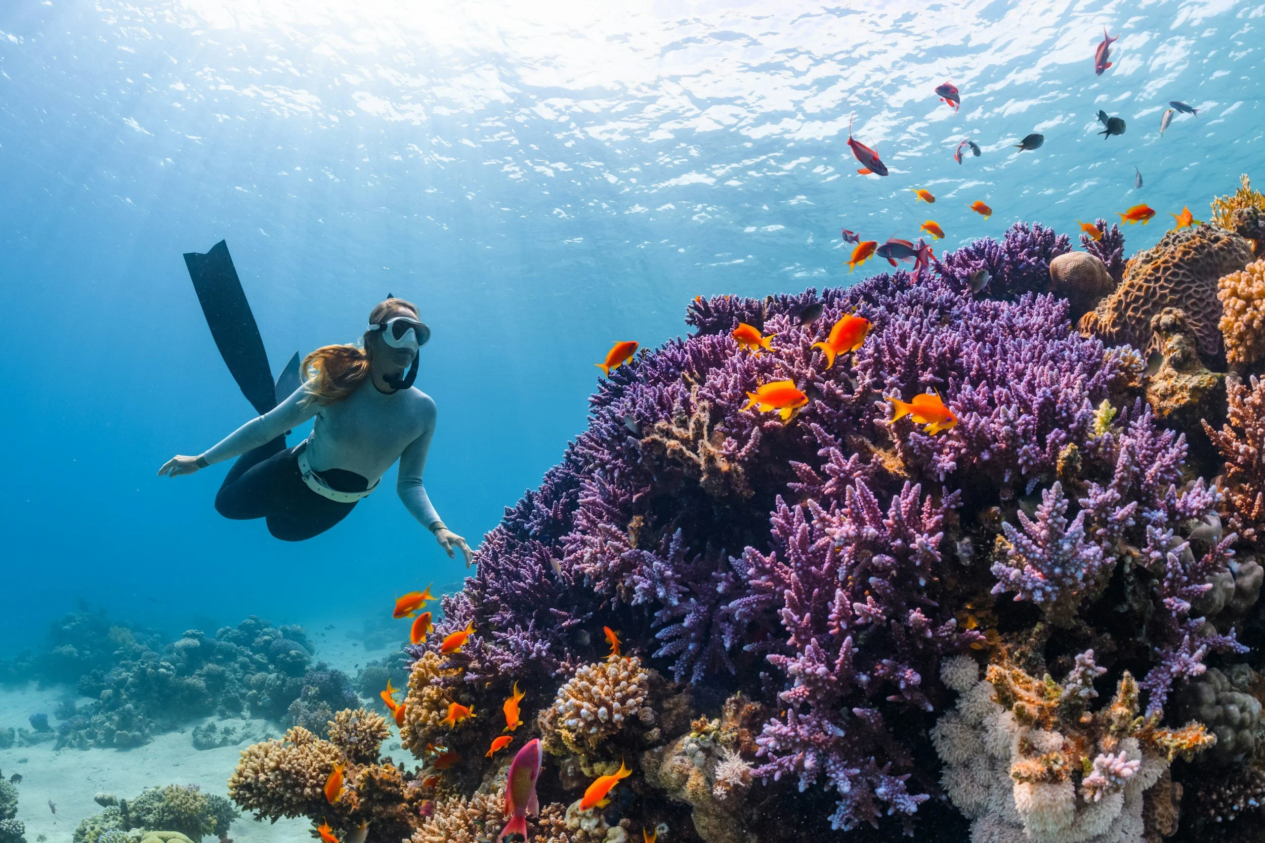 Scuba diving holidays in the Indian Ocean
