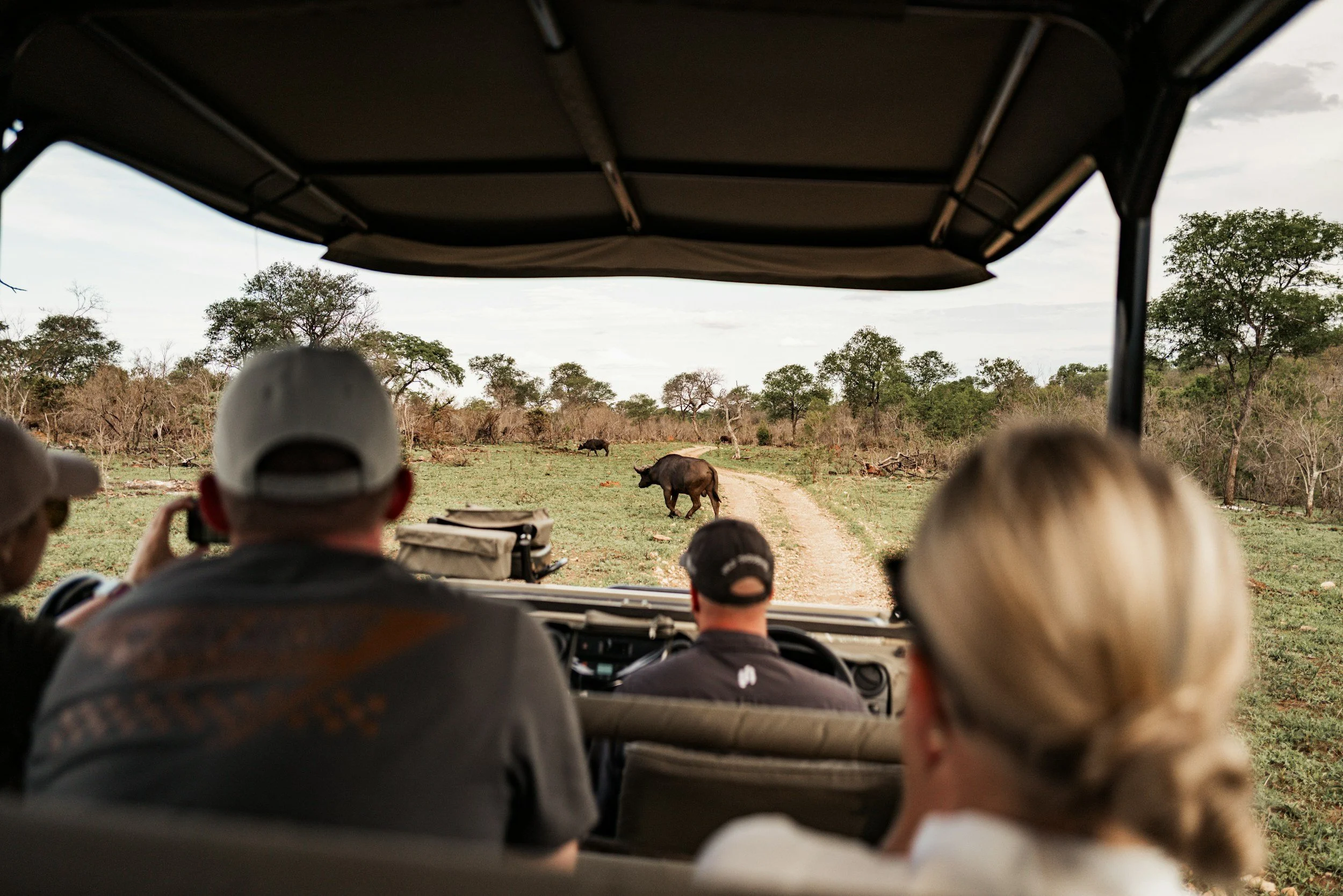 Where to go on Safari