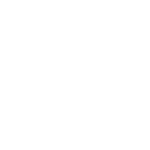 Icon of a shield with a check mark and a document with lines of text.