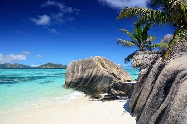 Tropical beach with clear turquoise water, large granite rocks, and palm trees under a blue sky