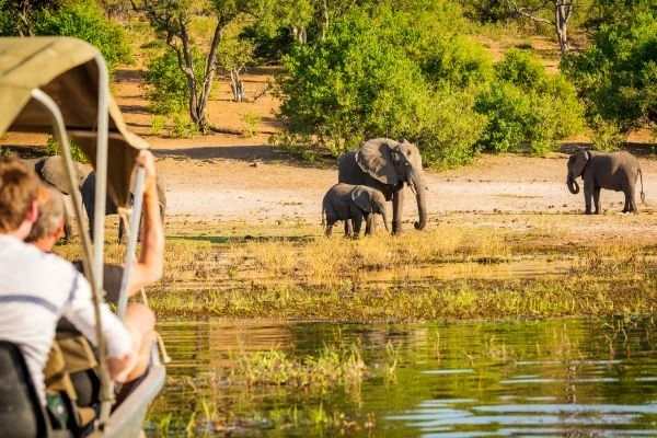 Tourists in a boat watching elephants near a water hole in a savannah landscape with trees and bushes.