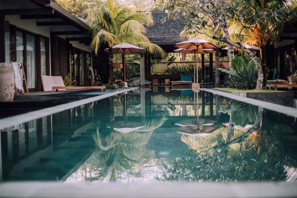 Swimming pool surrounded by lounge chairs, umbrellas, and tropical plants in a resort or backyard setting.