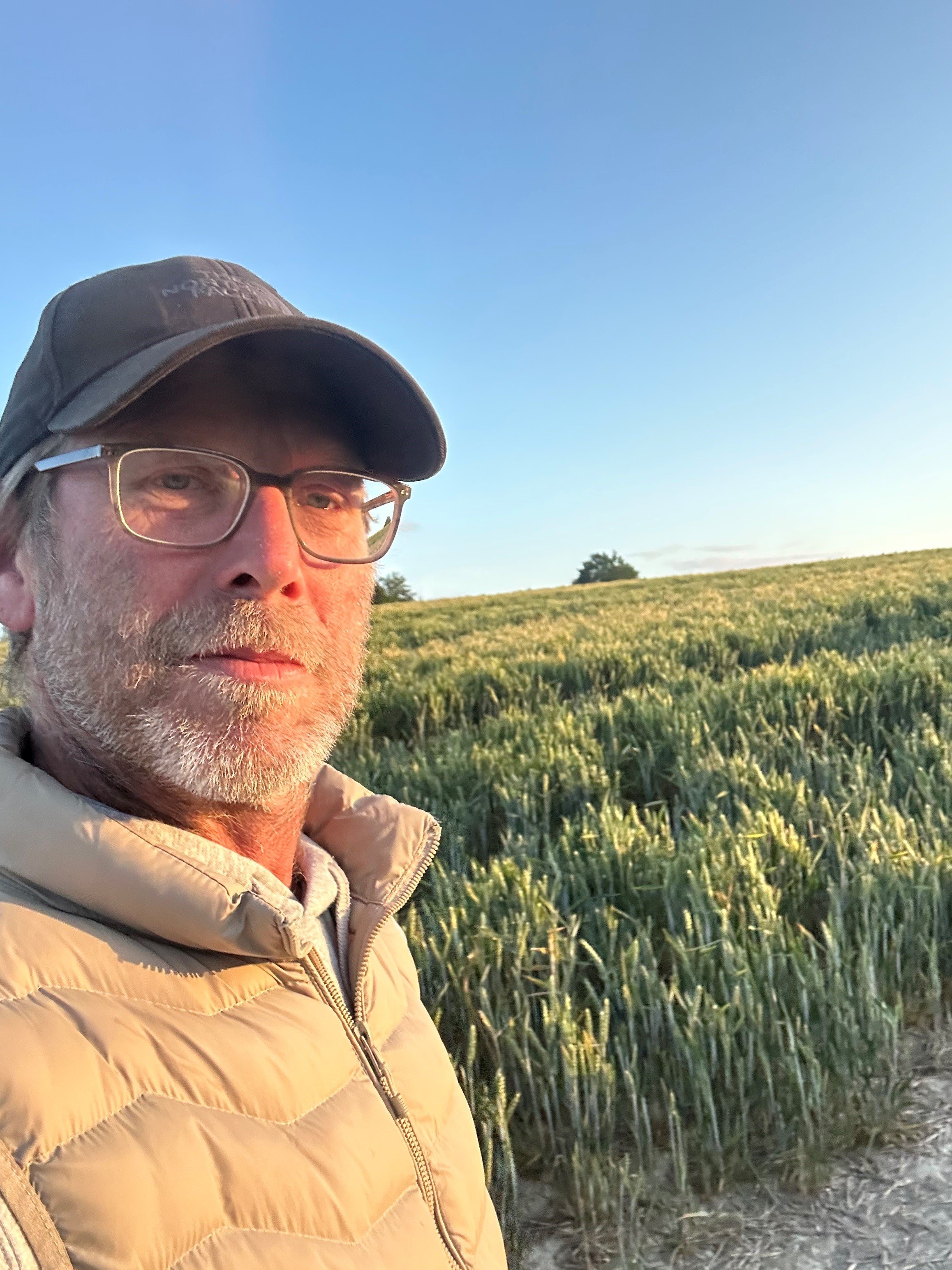A man with glasses, a gray beard, wearing a brown cap and a beige jacket, standing in front of a green field of wheat at sunset.