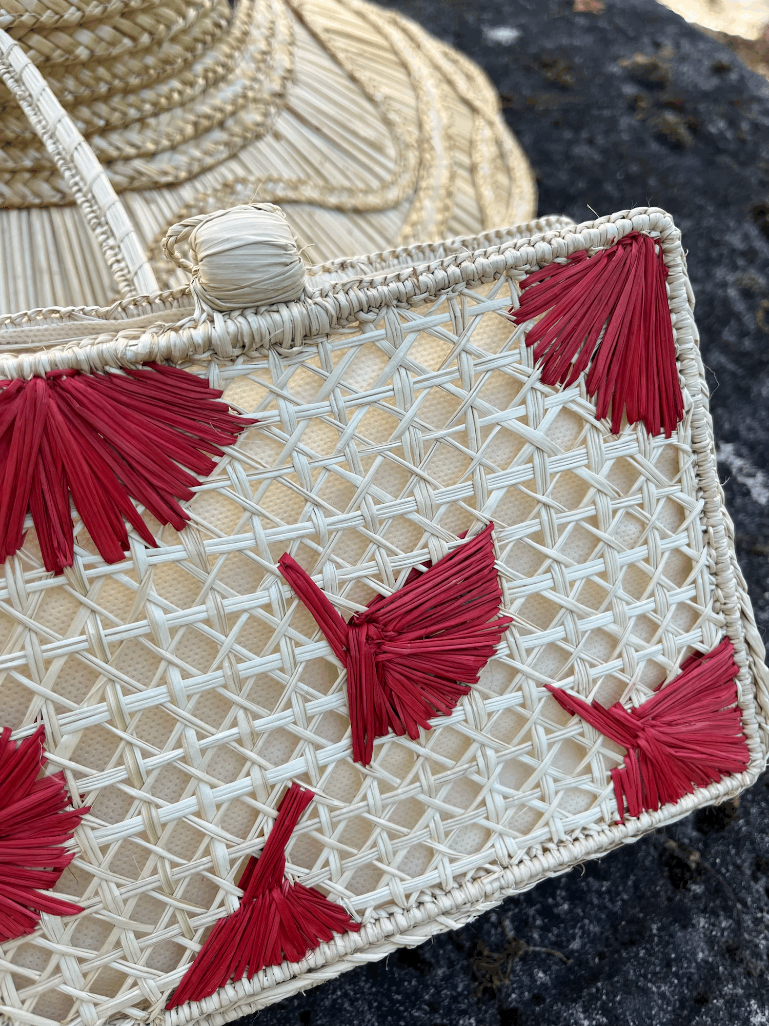 The Ventaglio Bag