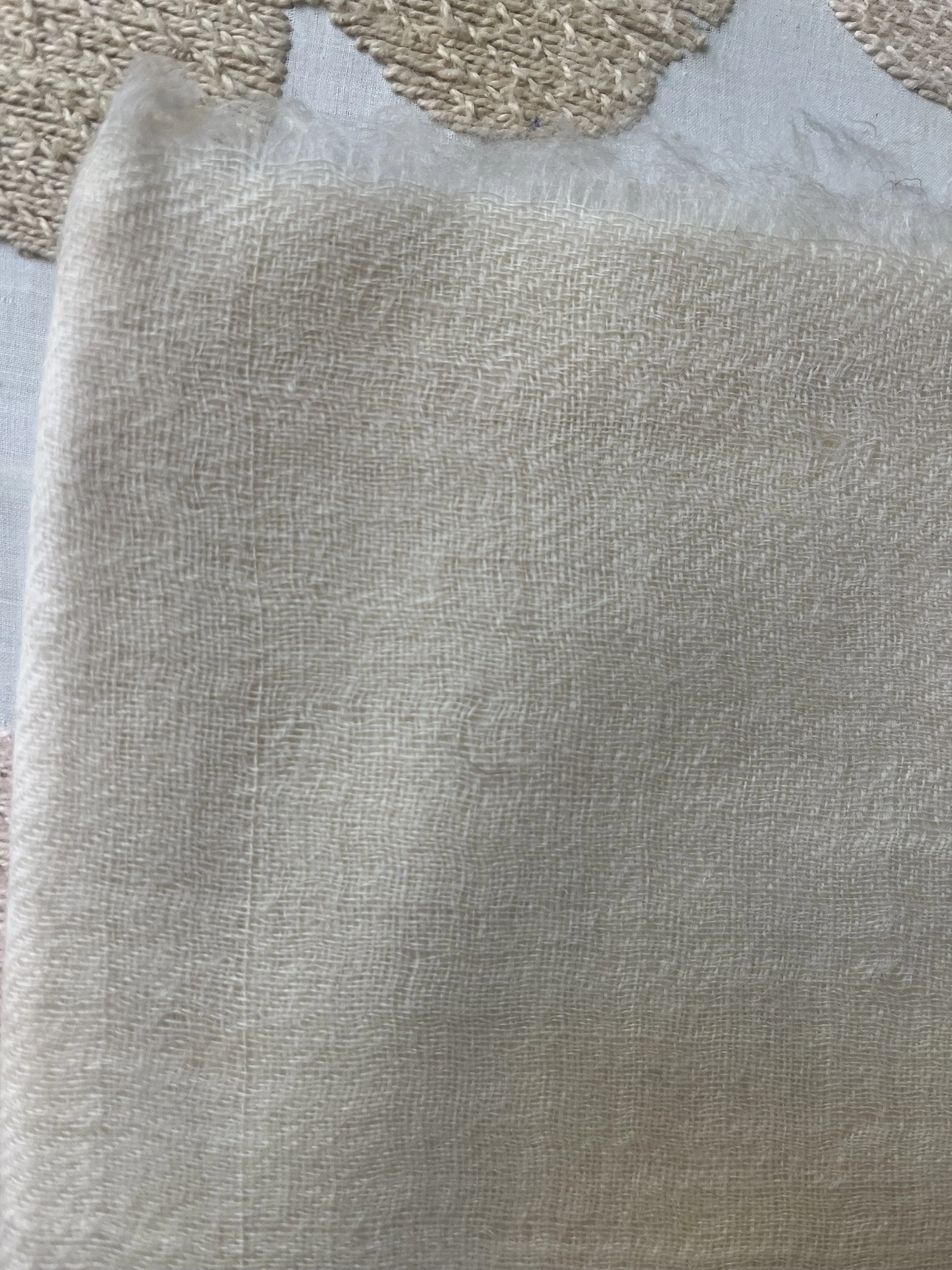 IMG_3819.jpeg (Copy)