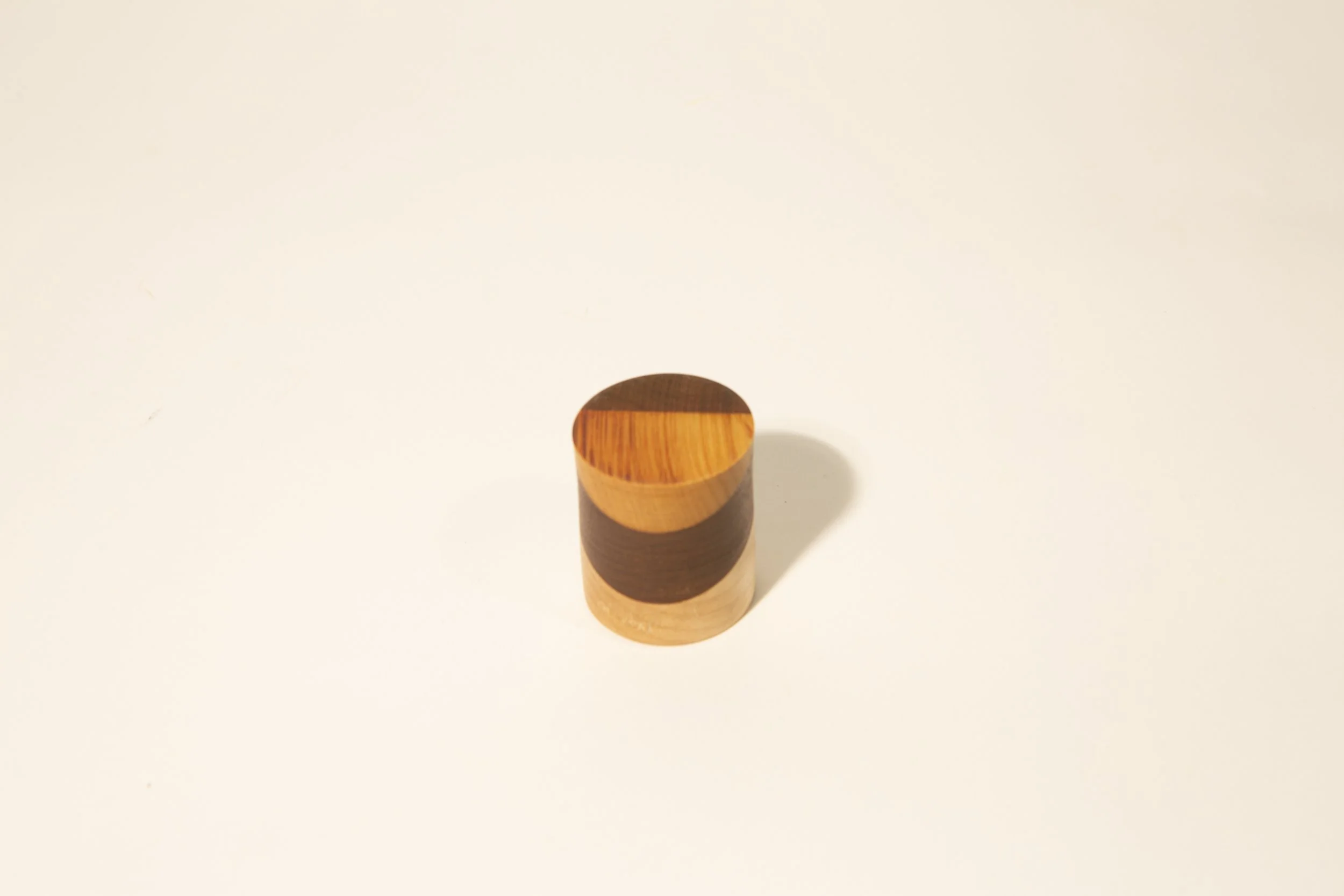 Segmented shot 1b, 1.jpg