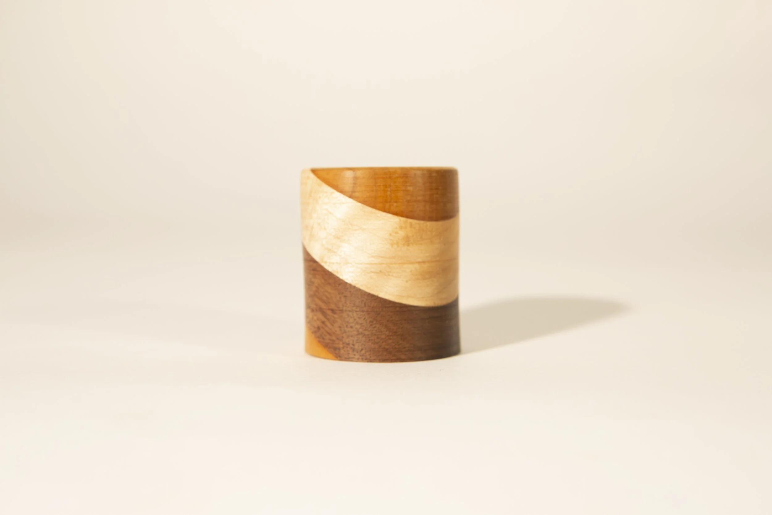Segmented shot 2, 4.jpg