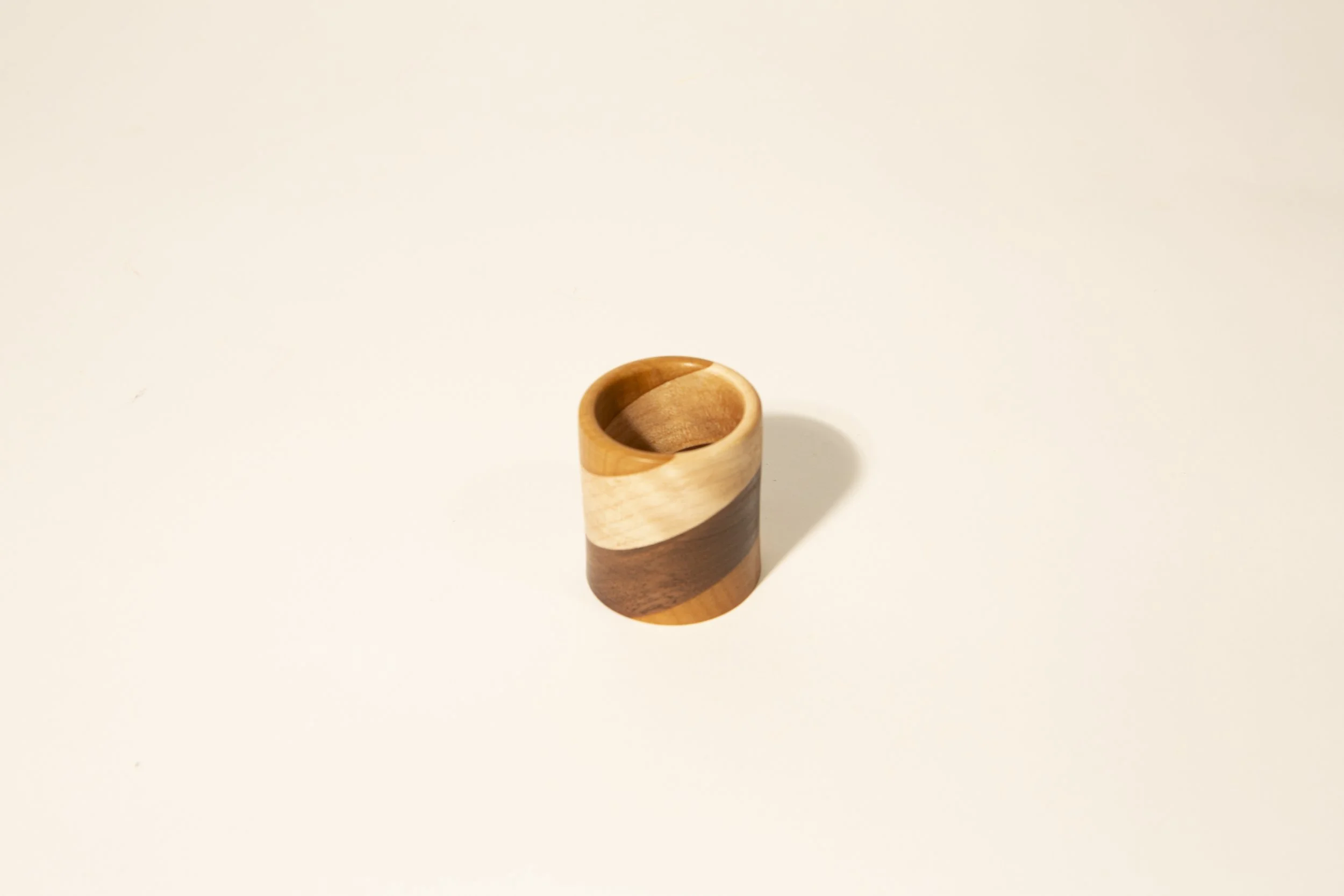 Segmented shot 1, 1.jpg