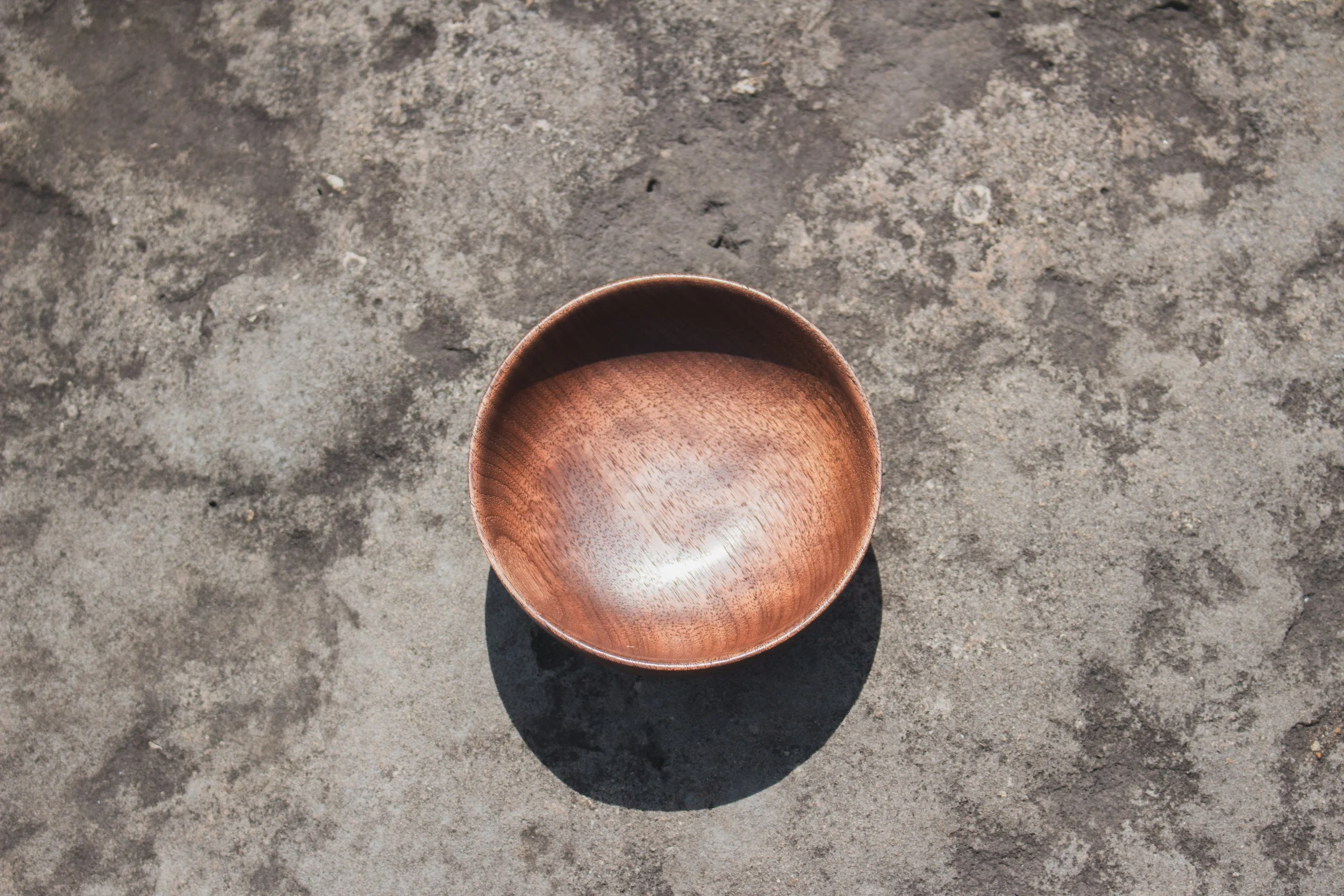 Black Walnut 1h.jpg