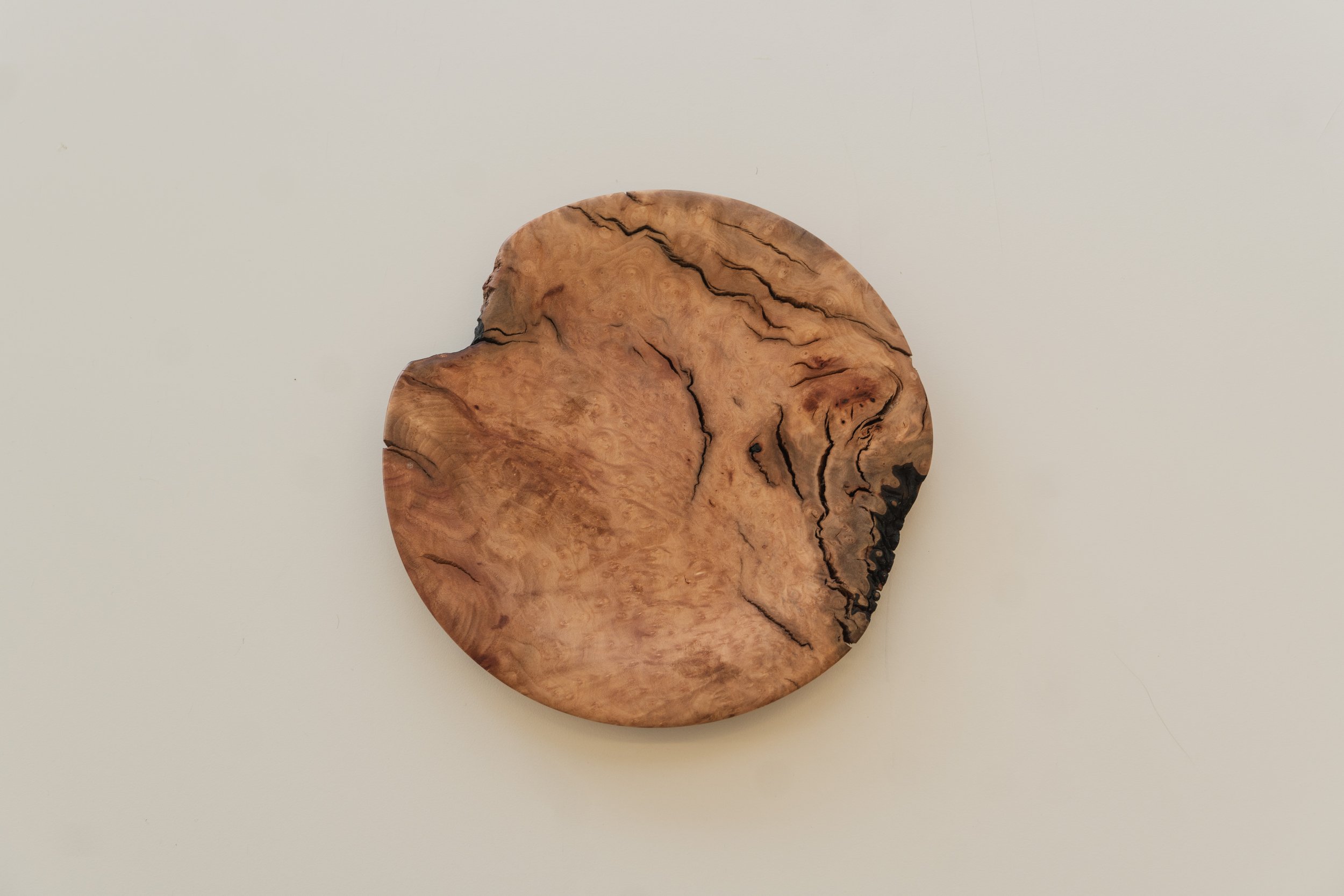 Madrone Burl 1f.jpg