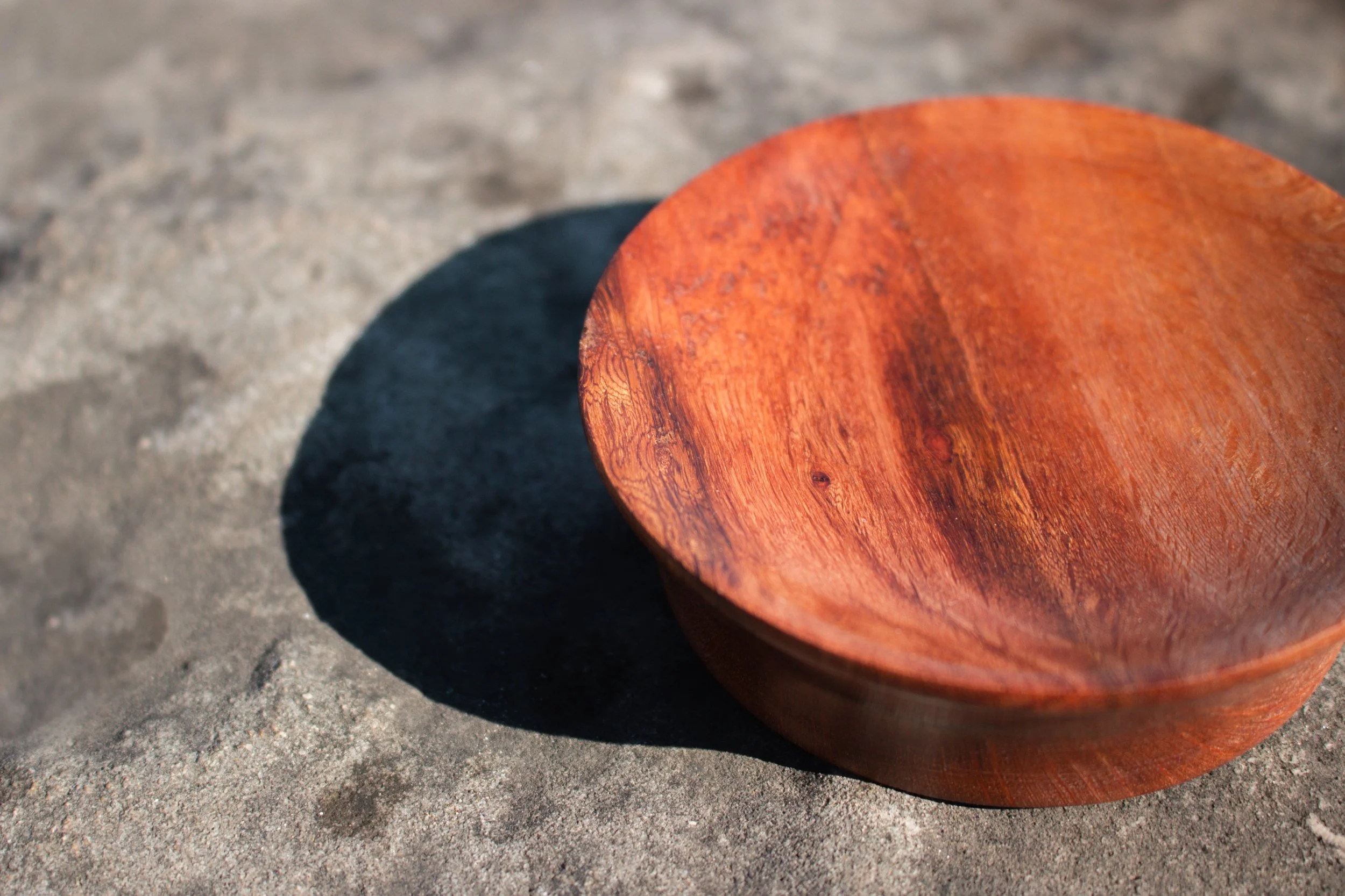 Beefwood Dish