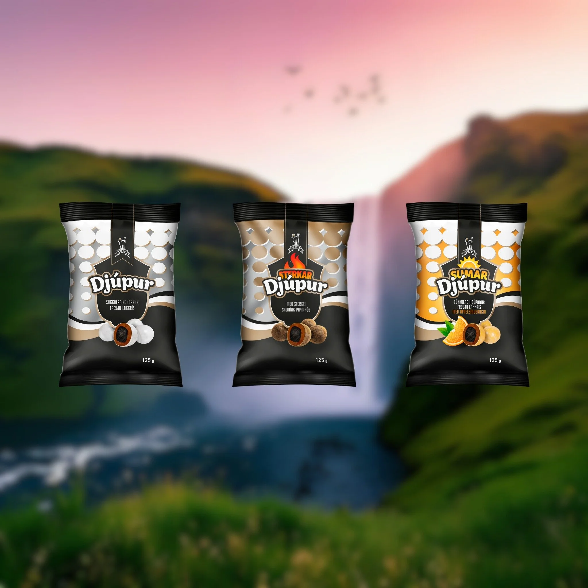 Hverjar eru &thorn;&iacute;nar upp&aacute;halds Dj&uacute;pur?