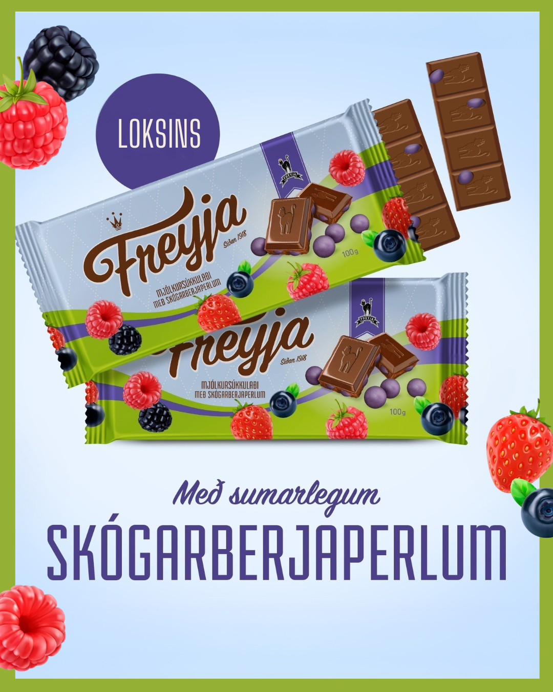 Skógarberjaplata 1080x1350.png