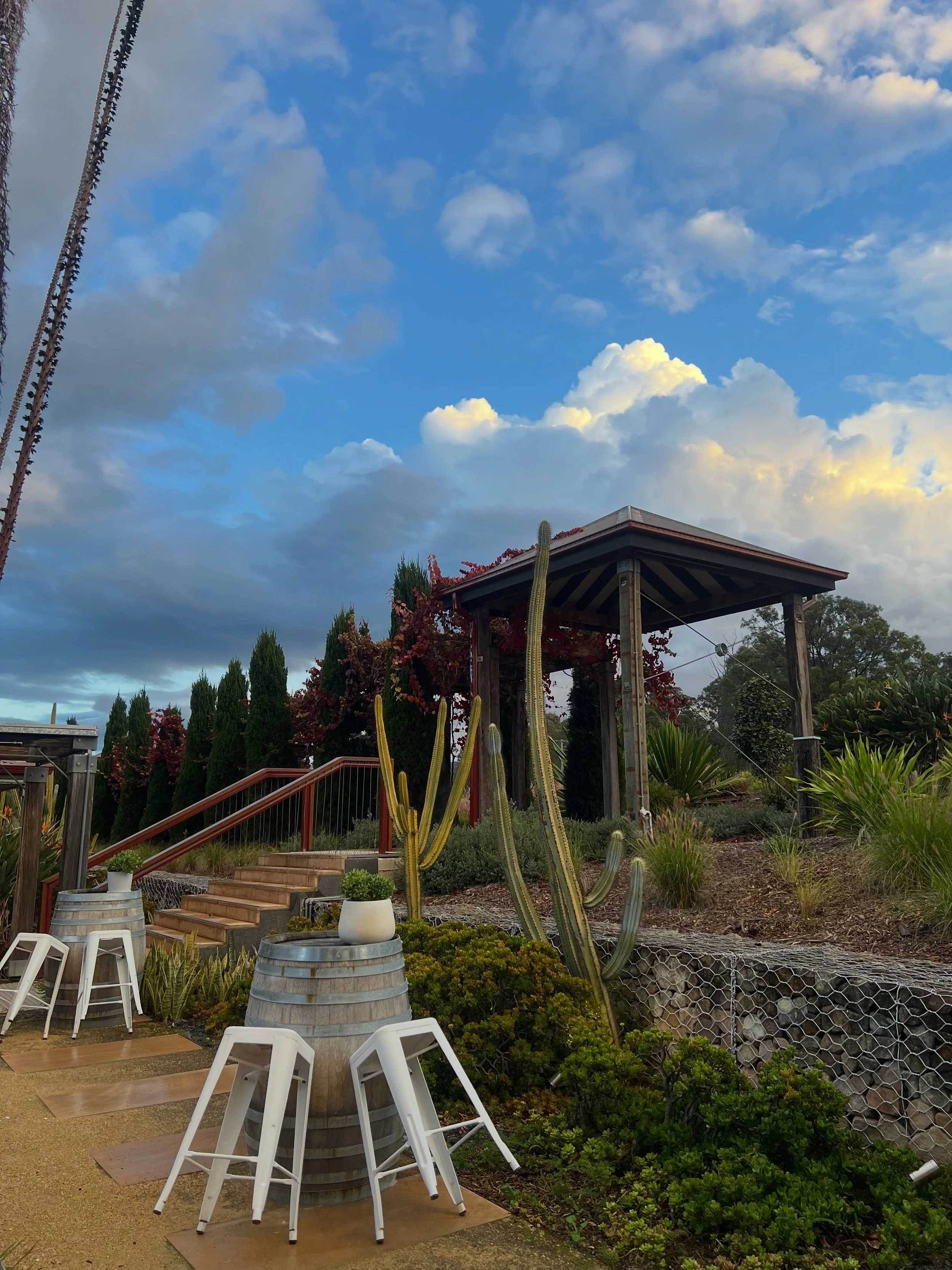 In the courtyard 🌤️