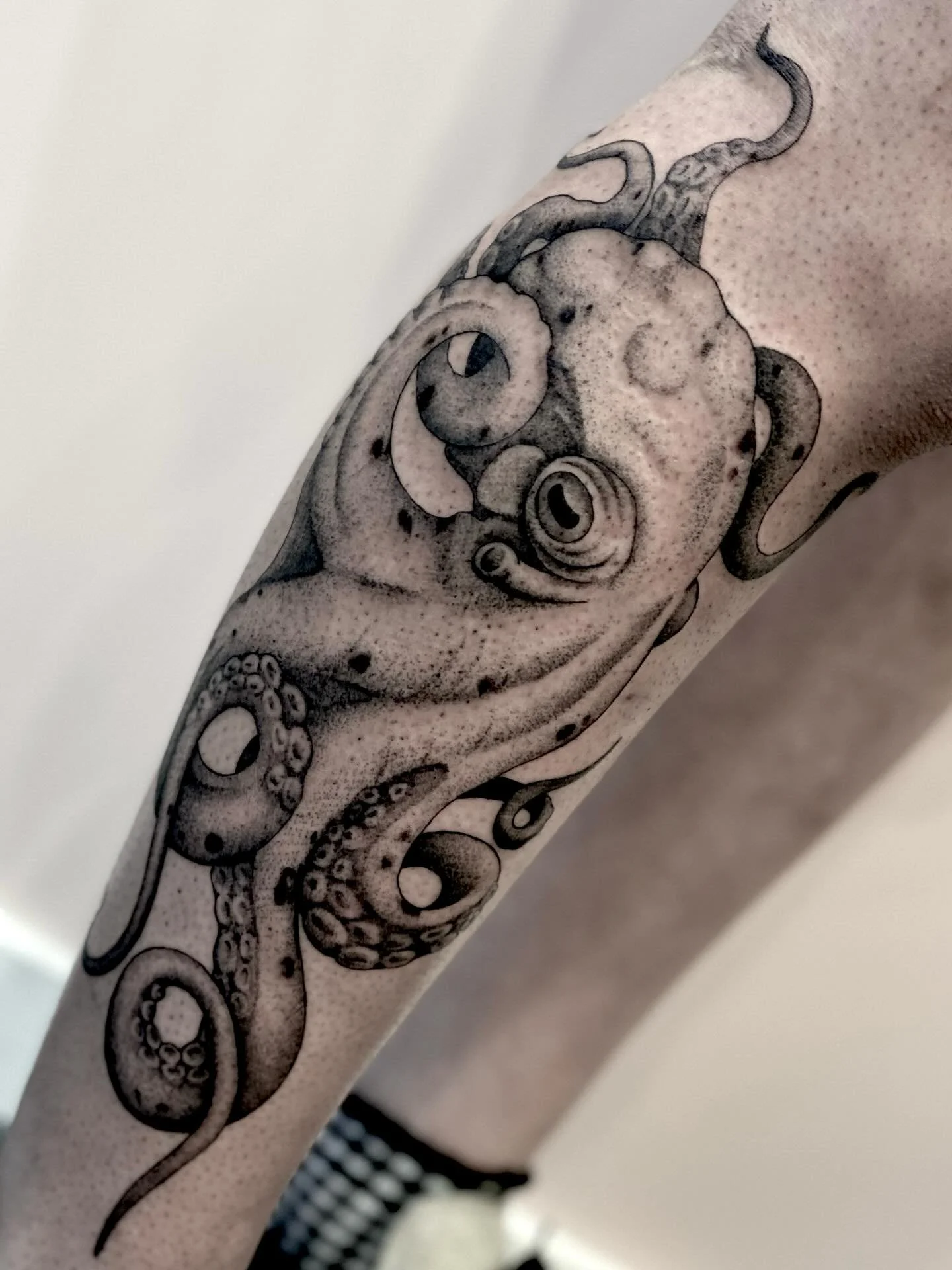 For Janet - thank you so much! I have some time available next week, dm for appointments. Done at @lostsanctumtattoo 
.
.
.
.
.
#tattoo #goldcoast #tattooartist #octopus #tattooflash