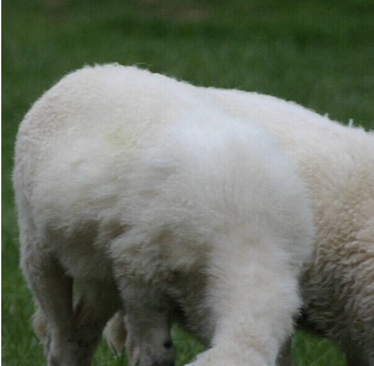 Screenshot 2025-09-25 at 3.29.40 pm.png