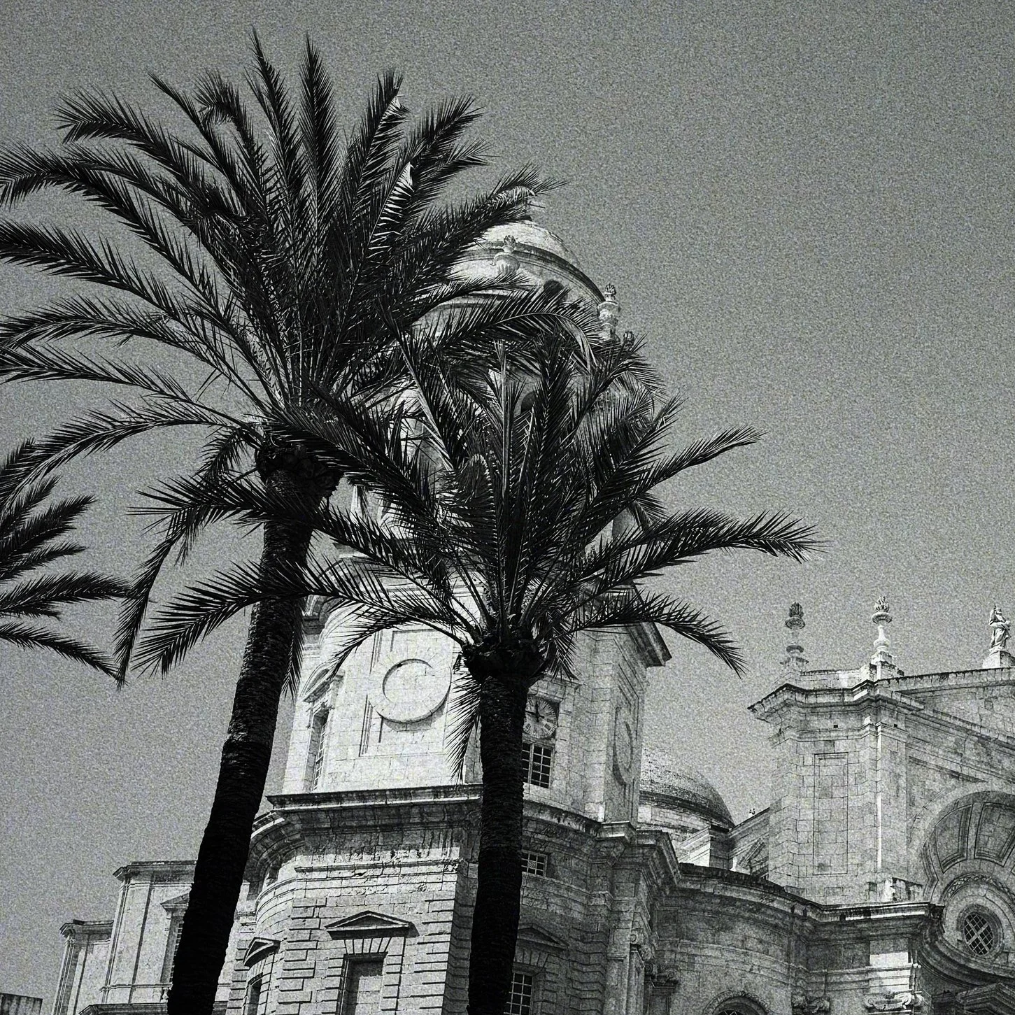 Black and white photo of a historic building with domes and statues, with two tall palm trees in the foreground.