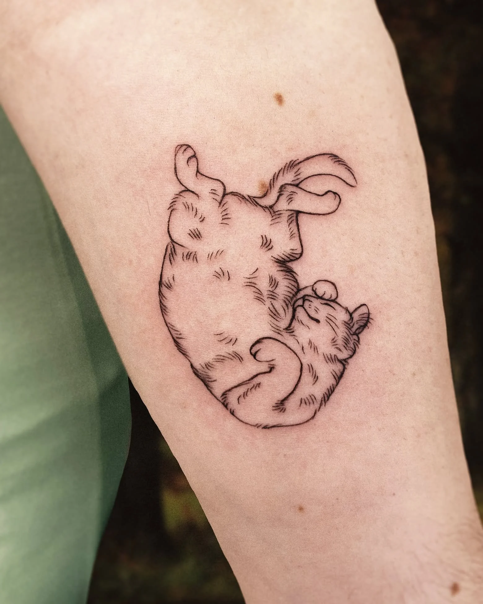 Lucky the cat is eternalized on his owner's skin 😺
 How about your catto? Do you have him on your skin already? :)

Slide for available designs ➡️
#womenwhotattoo #femaletattooartist #lisbontattooartist #lisbontattoo #tattoolisbon #tatouagelisbonne 