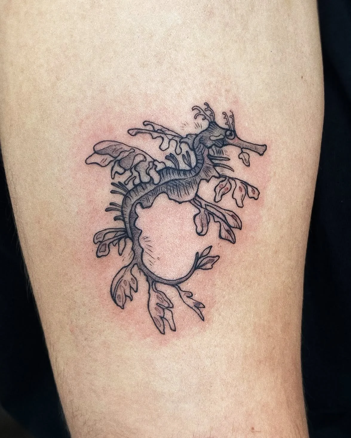 Leafy Seahorse for Kat! 🌊🐚 my favourite seawater creature probably, they are so gracious and mesmerizing~ 

#womenwhotattoo #femaletattooartist #lisbontattooartist #lisbontattoo #tattoolisbon #tatouagelisbonne #lisbonnetatouage #illustrativetattoo 