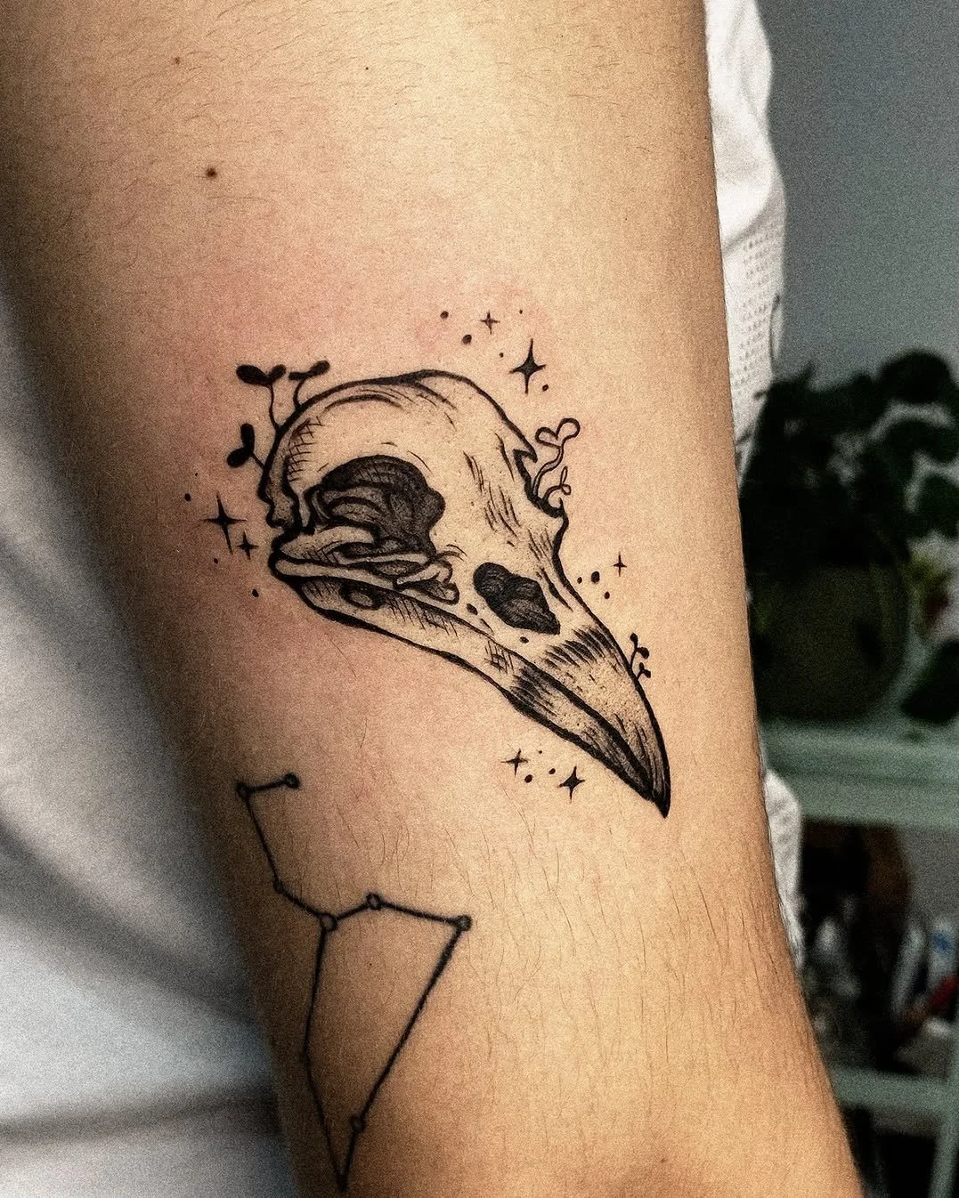 Spooky season is upon us, or so I heard~ There's just a few summer weeks left now and that means we'll soon find ourselves right into designs of crows and skulls and bats and mushrooms and all those delightful things! 🎃🌙👹

#womenwhotattoo #femalet