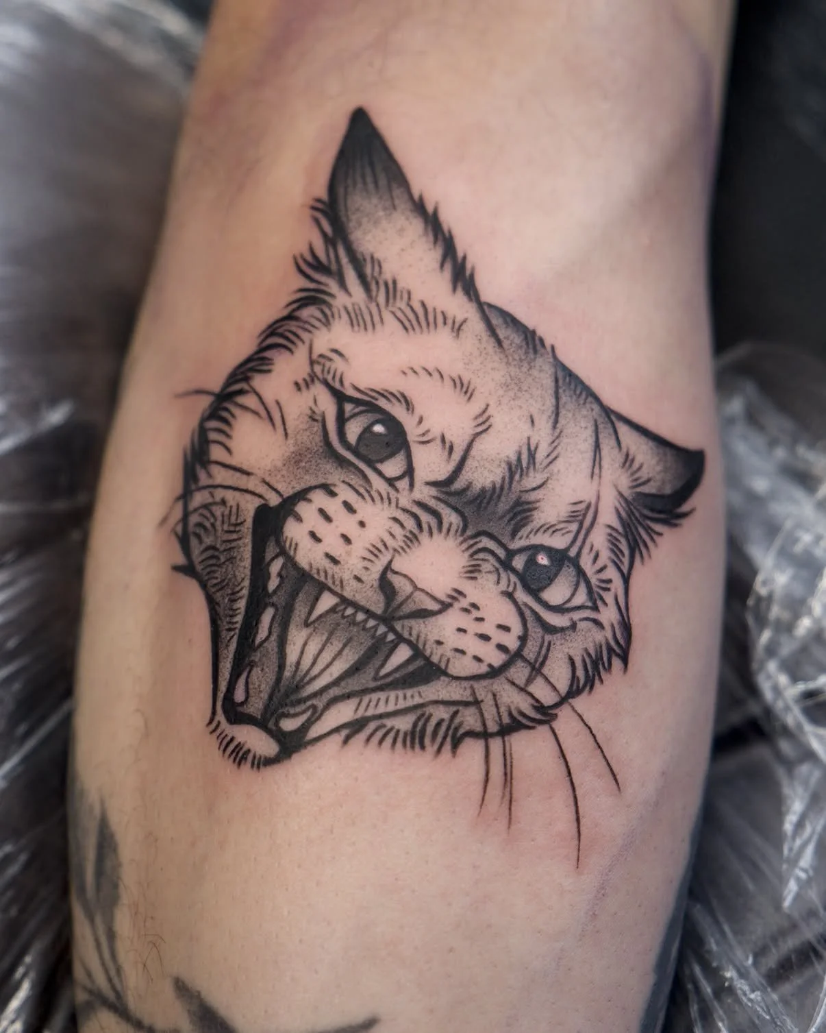 Can't get over this angry cattoo ! Love this first perspective on it, I've got a few angry cats available in my stories still! 

✺  I do not offer tattoo permissions/t✺ I do not offer tattoo permissions/t#tattooartickets 🌱
✺ Do not copy 👹

#femalet