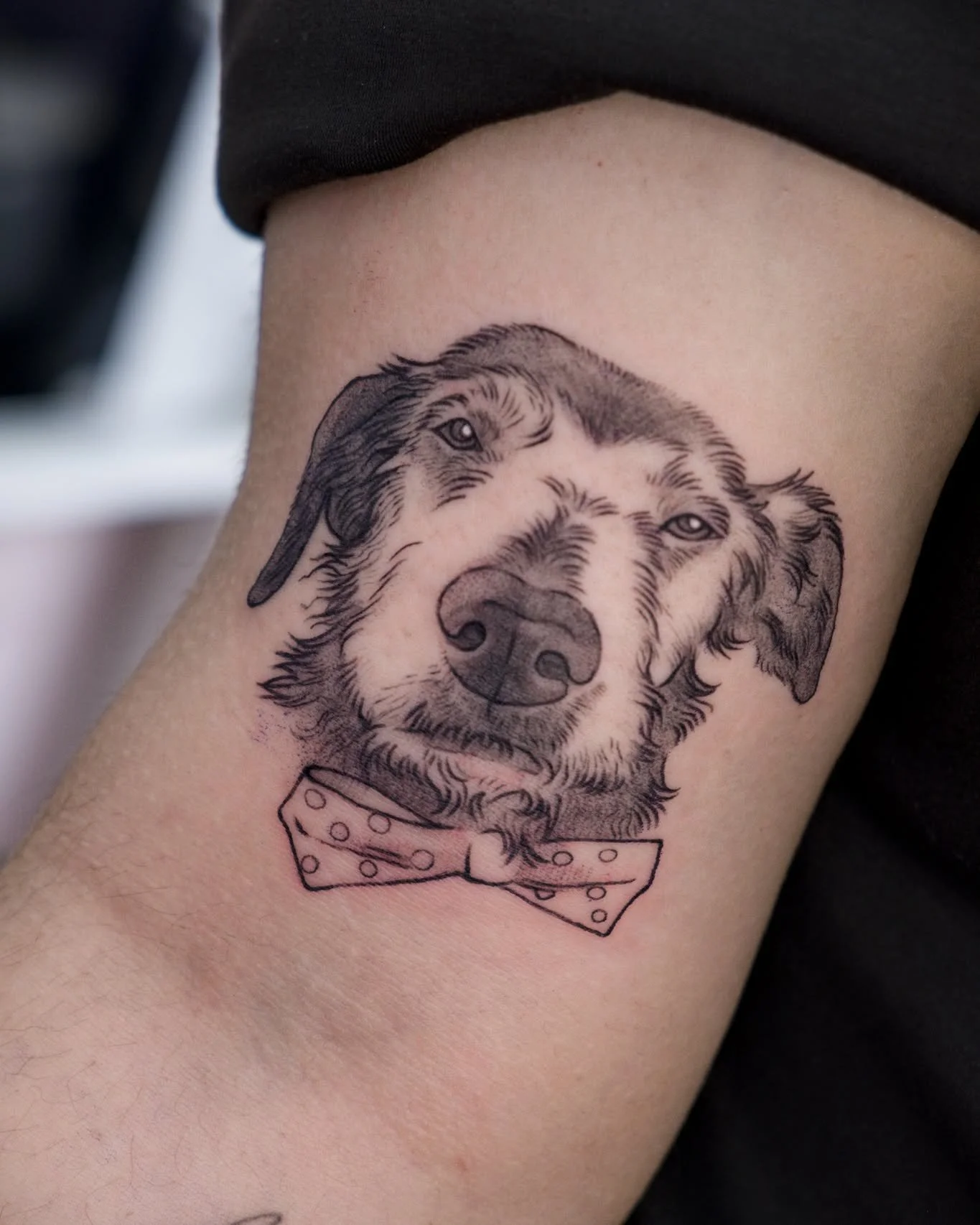 Tribute for Locas 🐕🪽 

#lisbontattoo #tattoolisbon #lisboatattoo #tatouagelisbonne #femaletattooartist #dogtattoo #tributetattoo