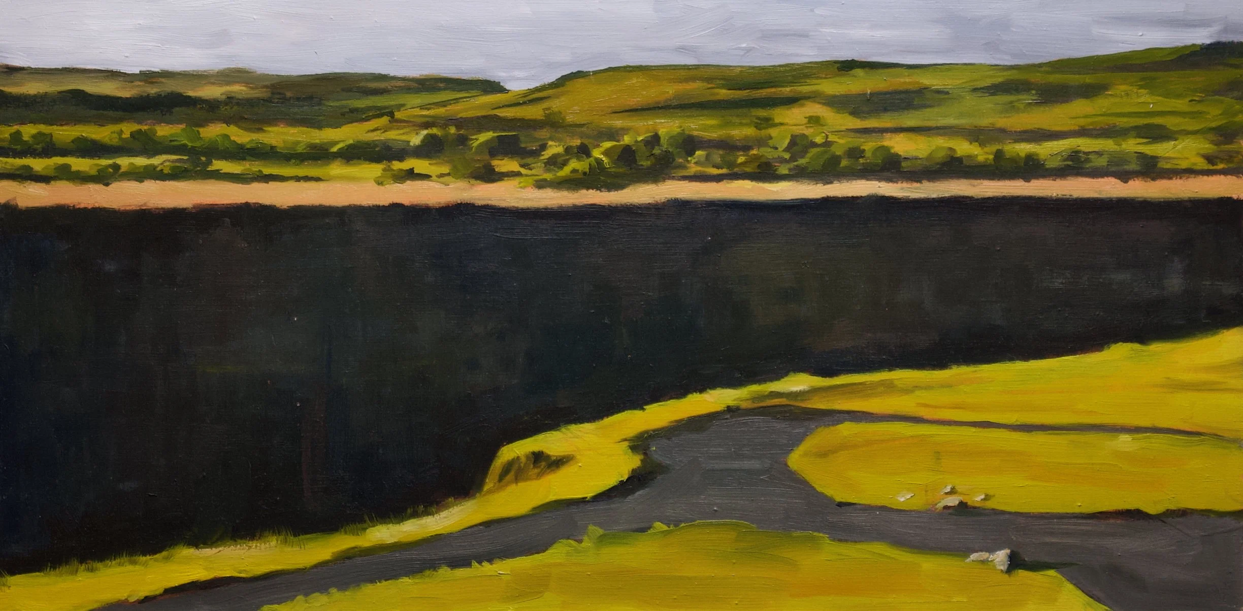 Gullfoss valley, 40cm x 20cm x 0.6cm, oil on wood, 2025