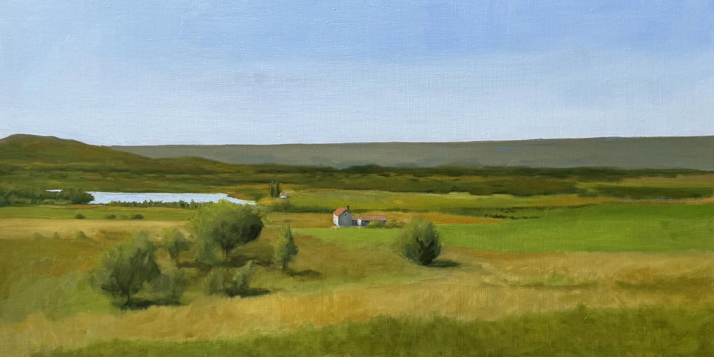 Lake view house, 90cm x 45cm x 2cm, oil on linen, 2025 🔴