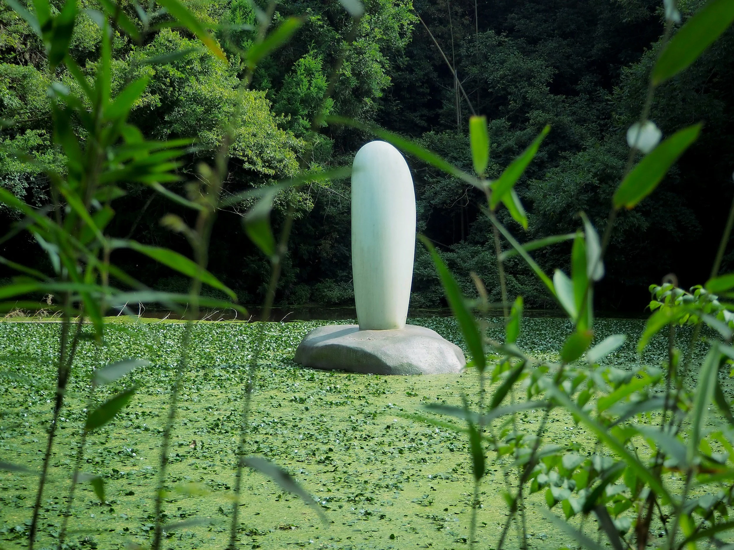 A large statue resembling a surfboard standing on a rock in the middle of a pond covered with green duckweed, surrounded by dense trees.