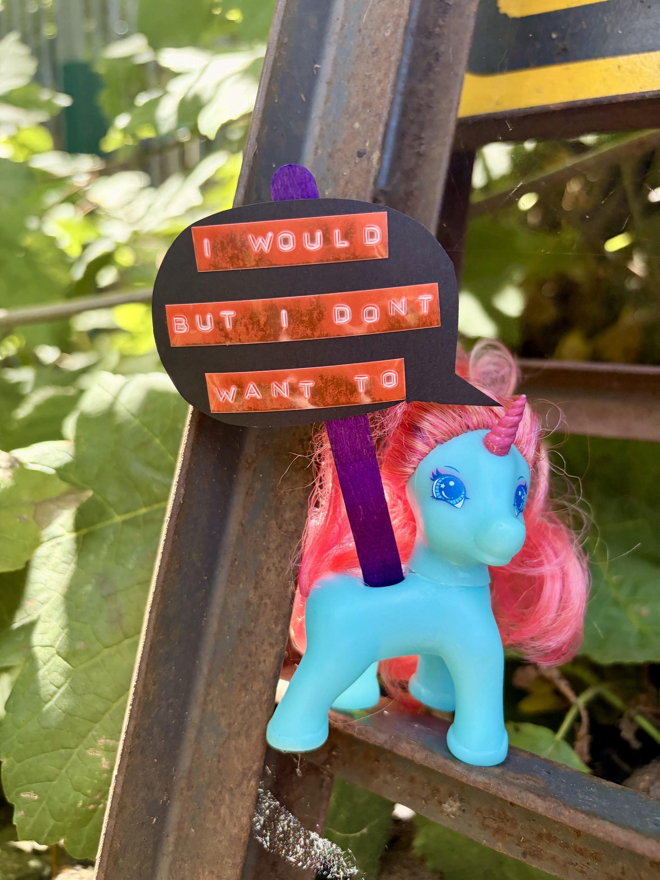 IMG_1340.jpeg