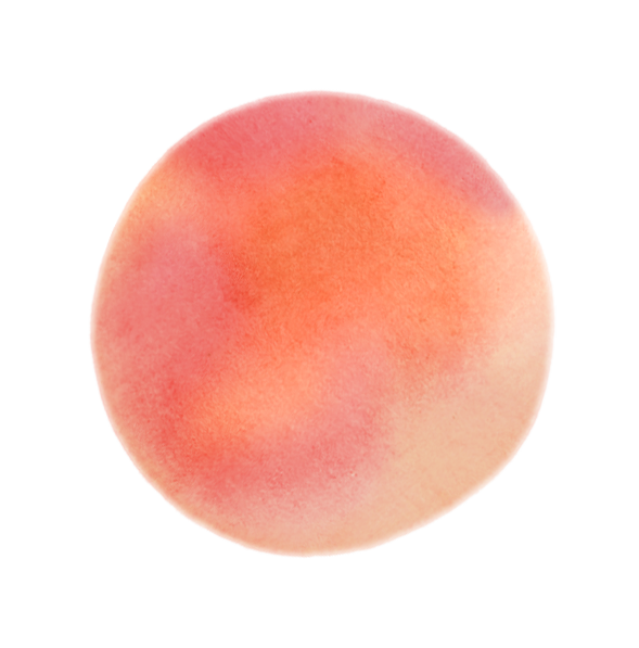 Watercolor illustration of a sun.