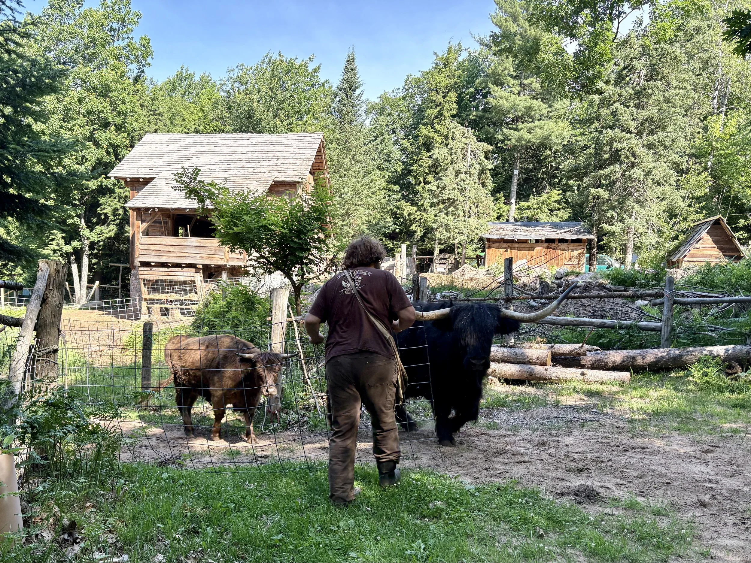Nick and Jill, founders of Bear Tree Homestead, standing near the original hand-built sauna