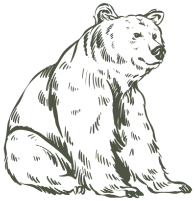 Line drawing of a sitting bear in a minimalist style.