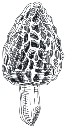 A black and white drawing of a mushroom cloud explosion.