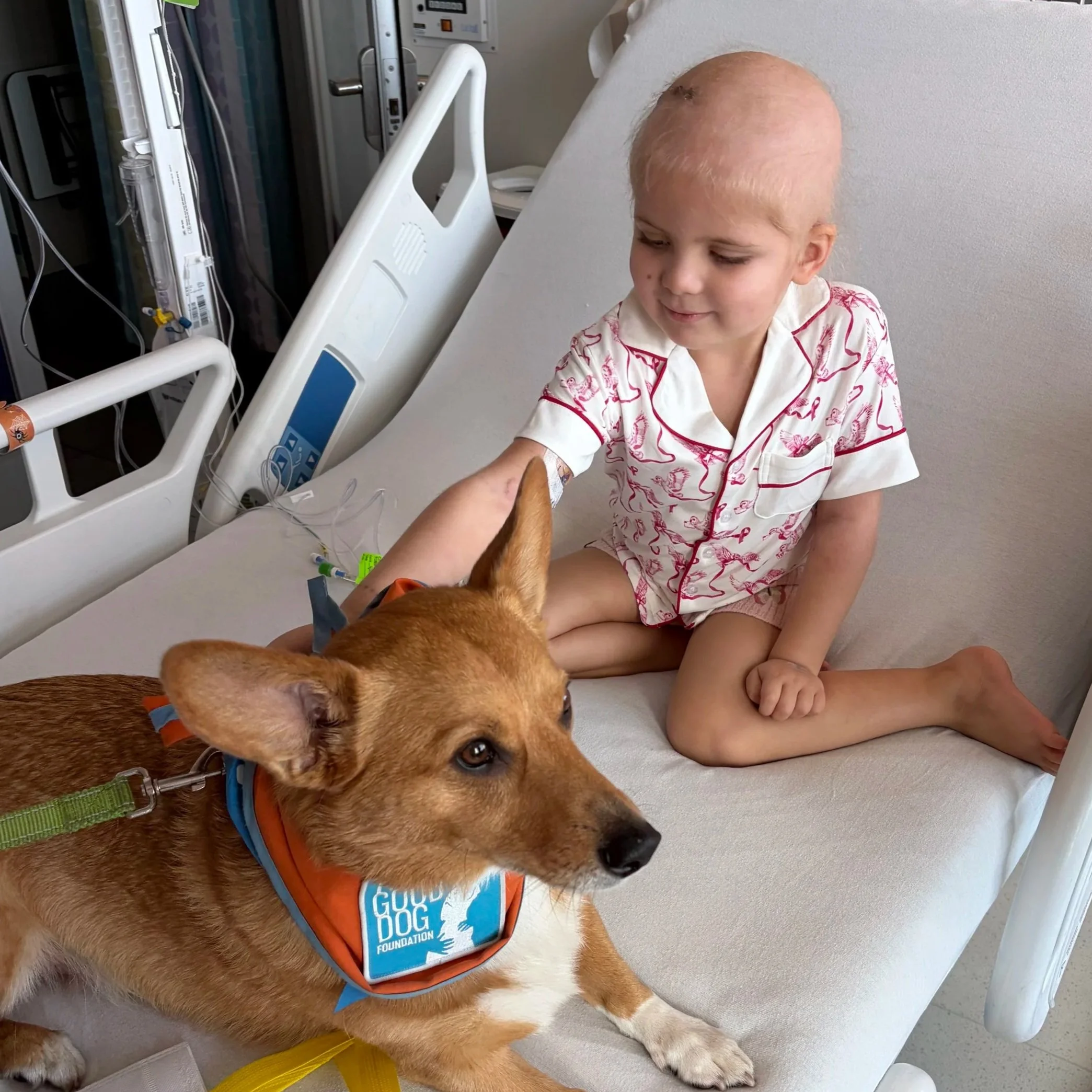 Surgery Week + Stem Cell Collection