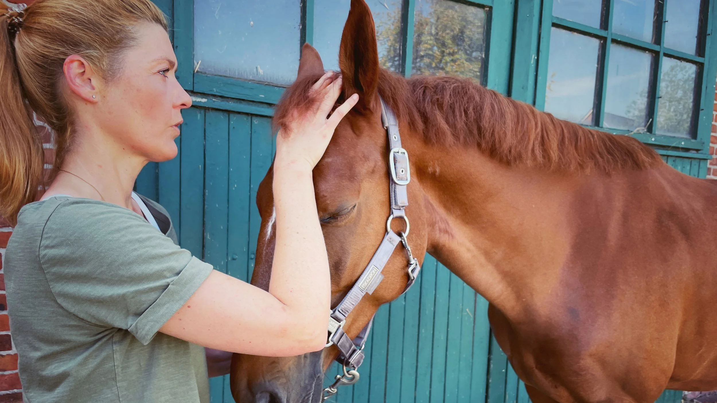 Eine Frau streichelt ein braunes Pferd vor einer grünen Scheune.