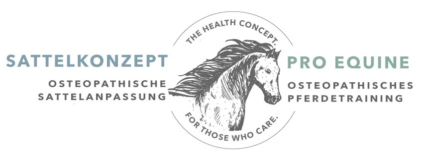 Sattelkonzept – Jana Kohlmeier