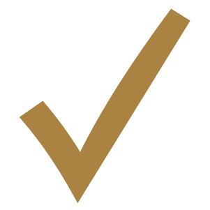 Gold check mark icon