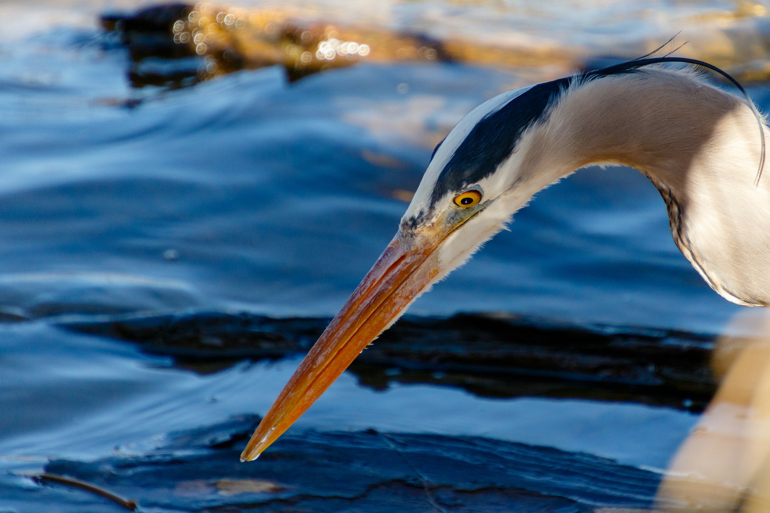 améliorer la concentration
