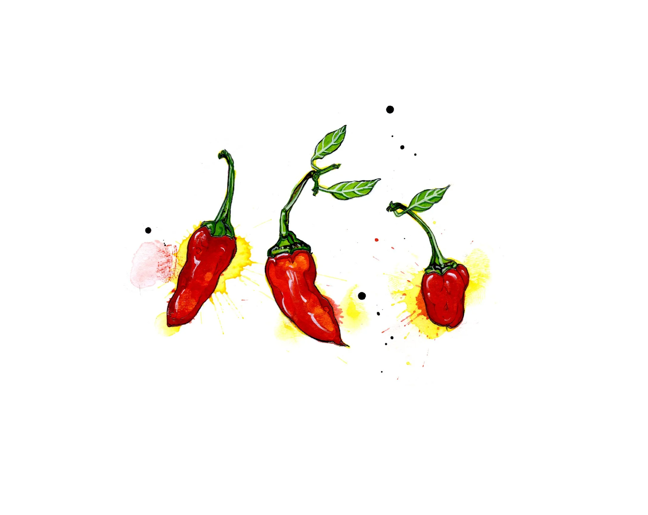 Small-chillis-newsize.jpg