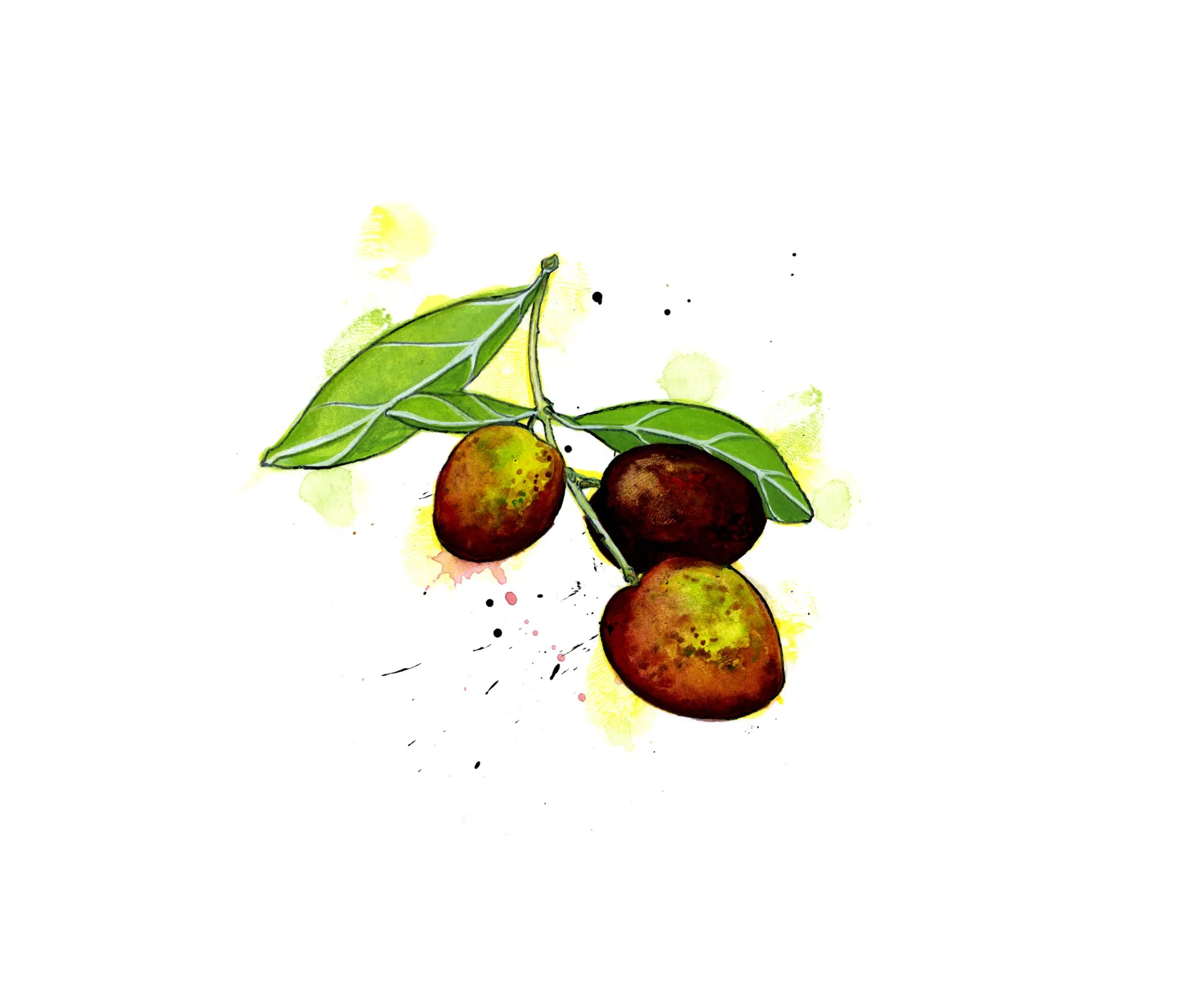 olives-newsize.jpg