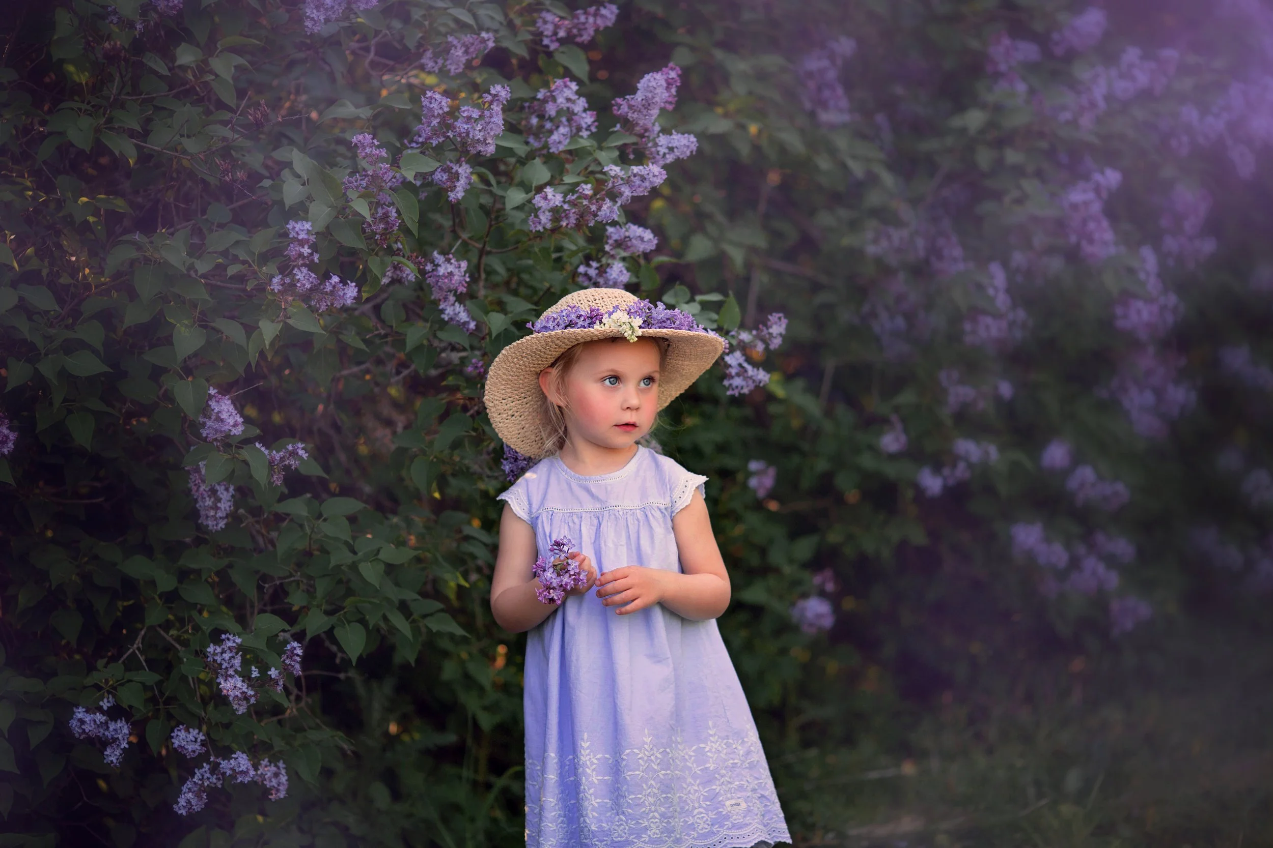 22052019-5T5A7387lilac.jpg